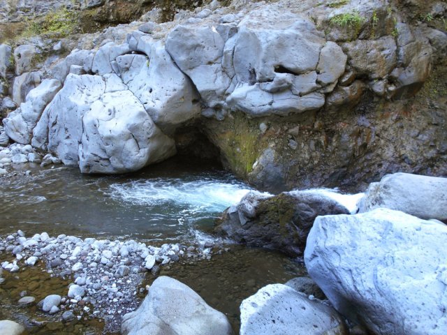 Nombreux petits bassins mais peu de temps pour en profiter