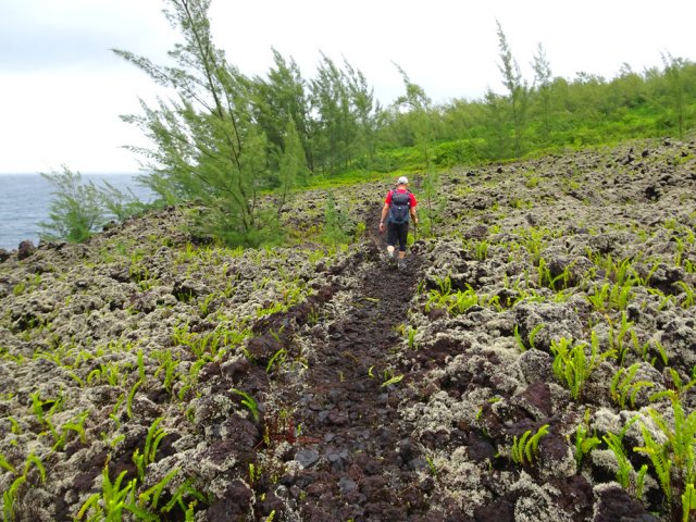 Nouveau bras de la coulée de 2002 recouverte de lichens