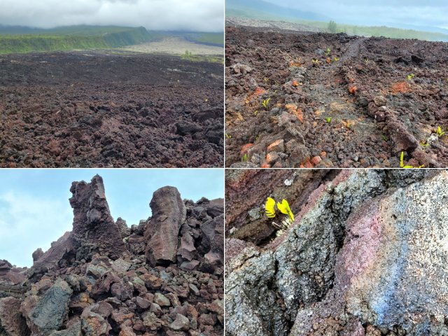 Arrivée à la coulée de 2007.