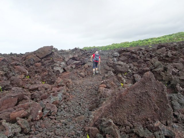 Quelques rares pentes pour franchir la coulée