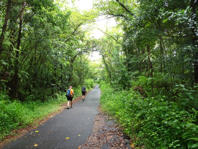 La fin du parcours s'effectue sur la route forestière en pleine verdure