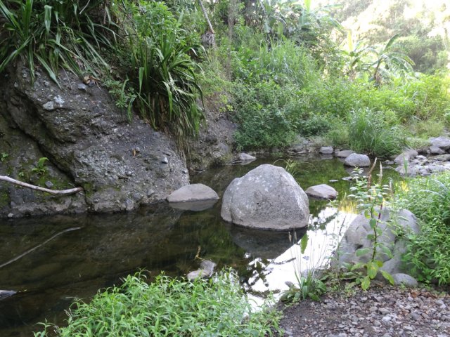 Quelques bassins insignifiants