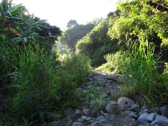 Pas de sentier officiel mais aucune difficulté pour passer