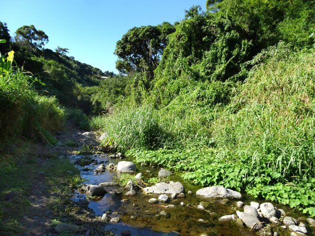 Un sentier discret longe le ruisseau