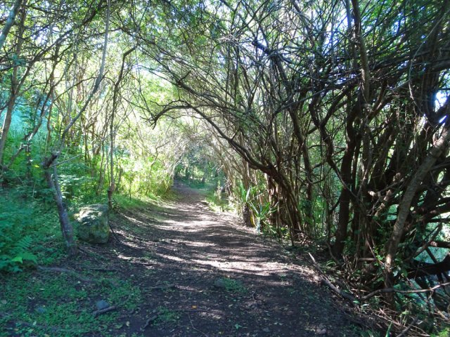 Le sentier s'éloigne de l'eau pour s'approcher du Bassin