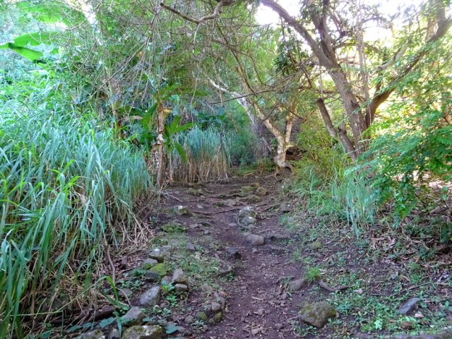 Montée caillouteuse vers la Rue du Cimetière