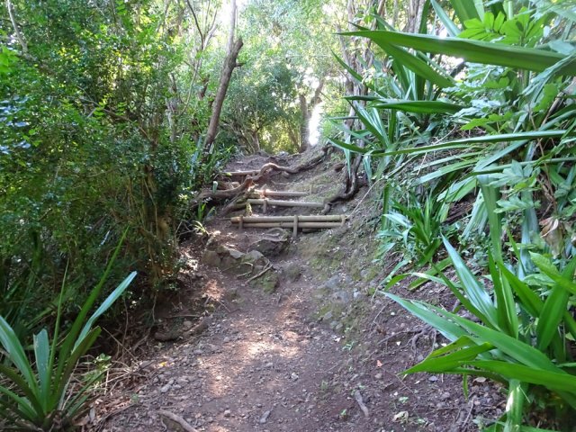 Seul passage de hautes marches un peu technique