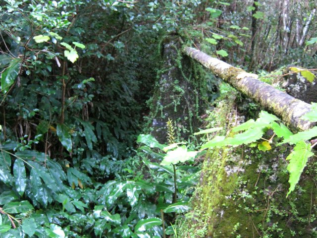 Le tuyau tombera bientôt dévoré par la rouille