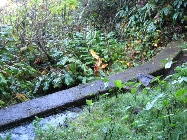 Le captage de Ruisseau Amont