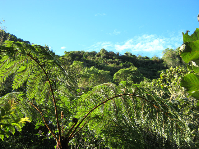 Peu de trouées ensoleillées