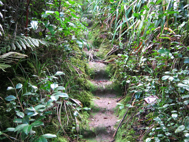 Les marches sont pires que des savonnettes