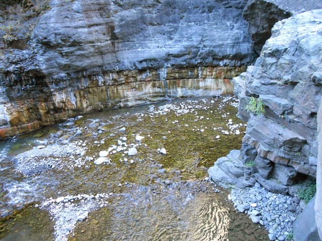 Les mêmes avec le bassin qui les entoure