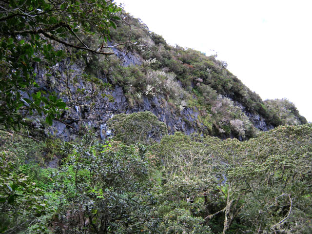 Le coteau abrupt d'où coule la cascade