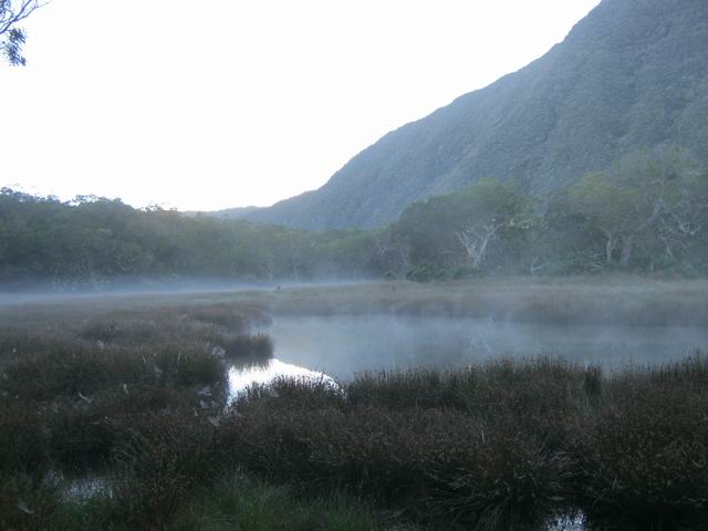 Les brumes de la Grande Mare qui s'évaporent