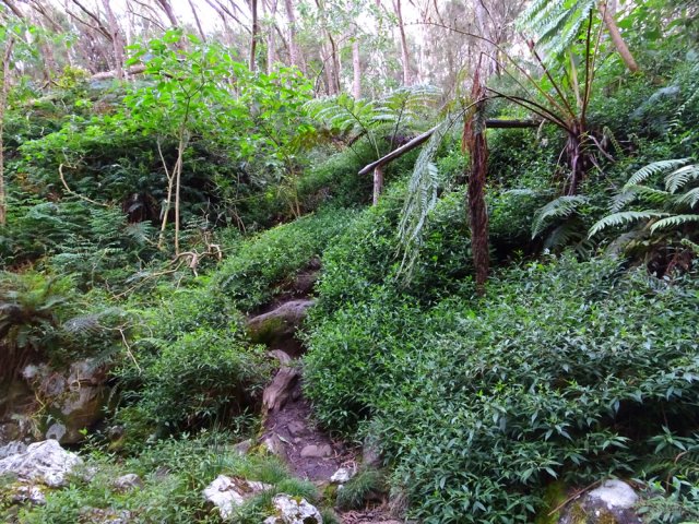 La remontée est raide mais très courte