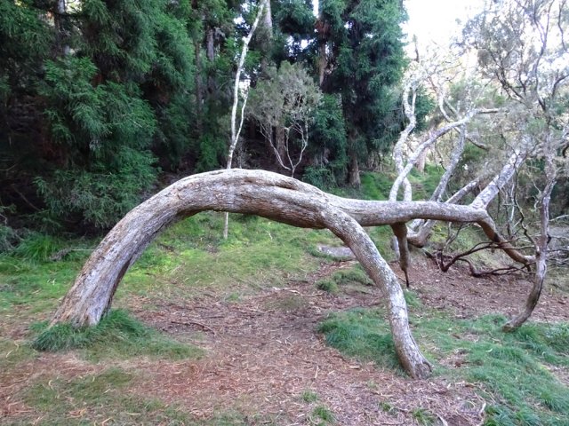 D'autres poursuivent leur longue vie en prenant appui sur la terre