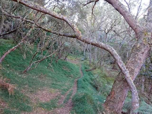 Une idée de l'étroit sentier par endroits