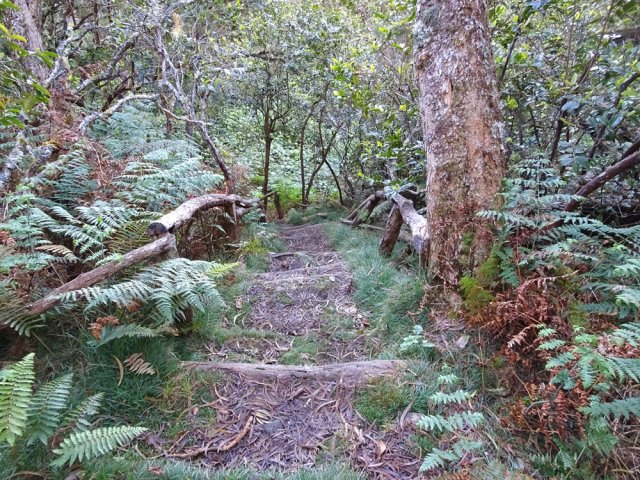 Descente vers la Ravine la Source