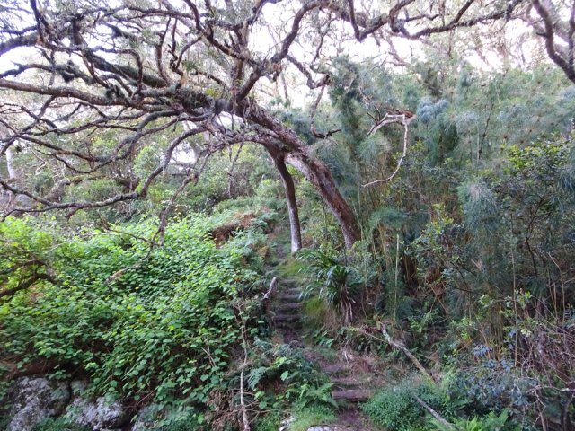Cette descente est facilitée par des marches un peu glissantes