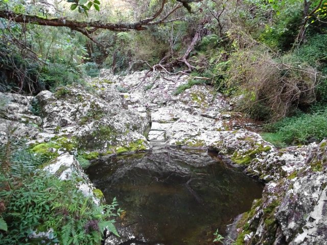 Traversée de la ravine près d'un minuscule bassin d'eau croupissante