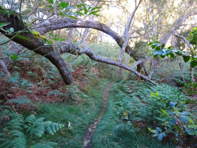 Paysage classique de cette boucle