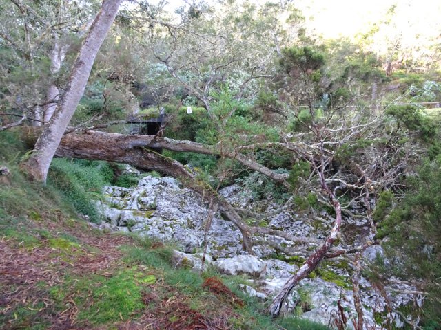 Le sentier frôle le pont sans l'utiliser