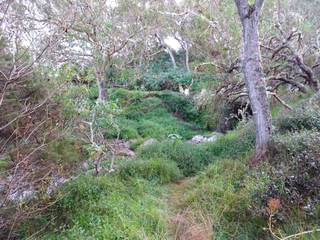 Franchissement d'un bras de la Ravine la Pompe proche de la route