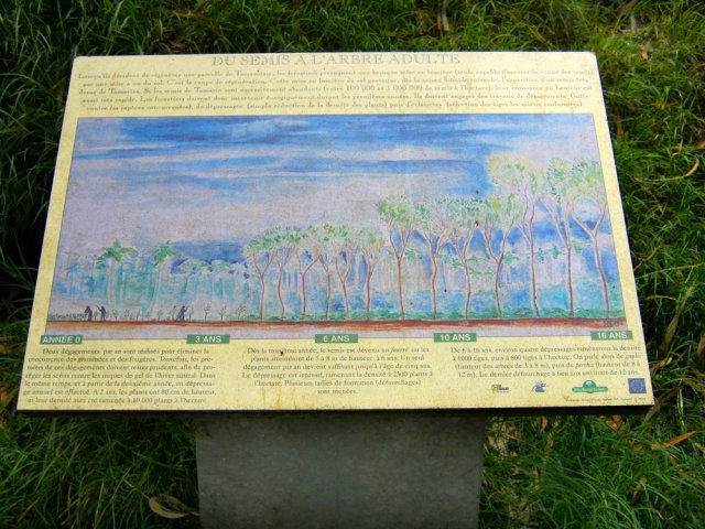 Une idée de ce que l'on pouvait y voir à l'époque où ils étaient en place