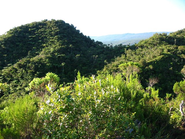 Le col du Morne de l'Etang