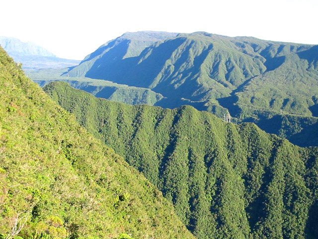Vers le Piton de la Rivière des Roches. La petite route menant à Takamaka