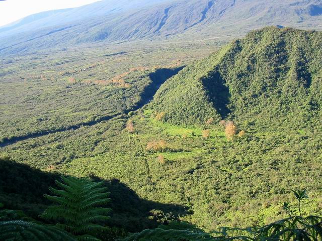 Le sentier passant au pied du Piton Camp de Tête et traversant la ravine Pavée