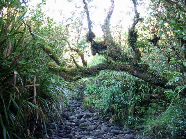 Passage de la ravine, à sec