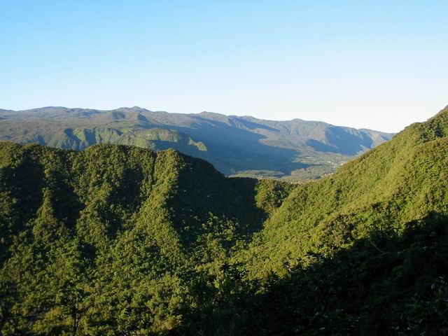 Regard vers la Plaine des Palmistes