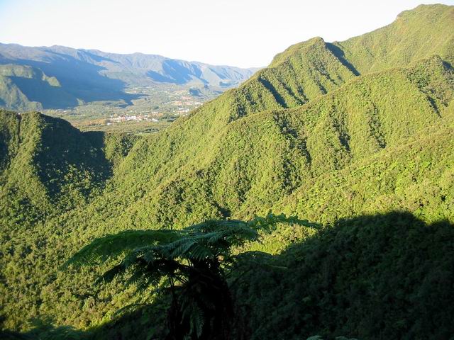 Le Piton Camp de Tête, et la plaine des Palmistes dans la vallée