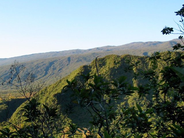 Points de vue en direction du Piton des Cabris et du Textor