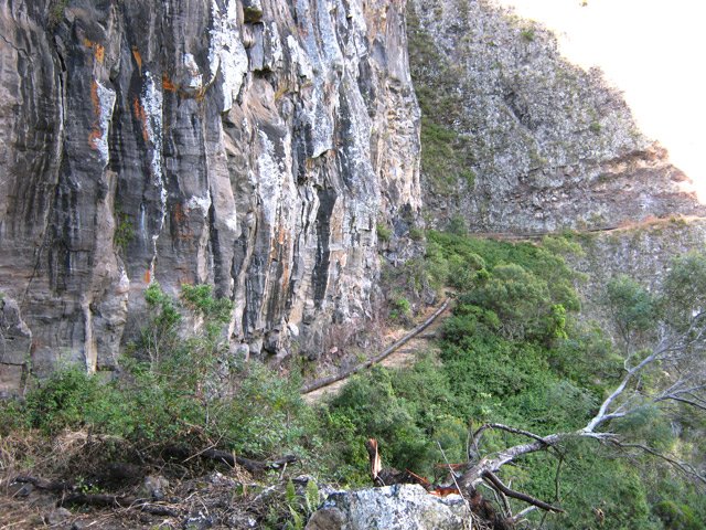 La végétation cache bien du vide