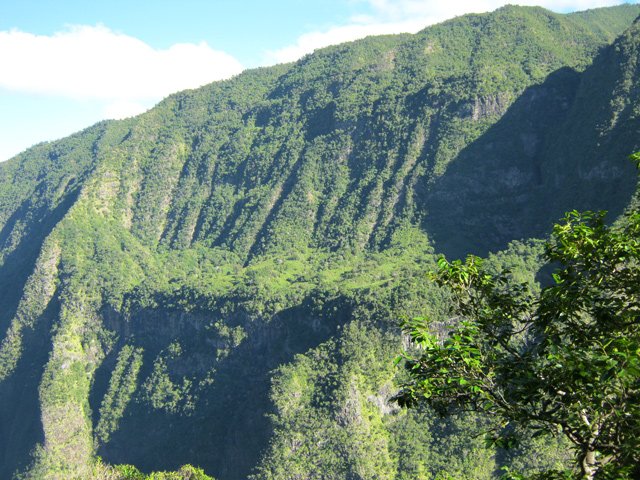 Panorama sur l'ensemble de l'Îlet Marron
