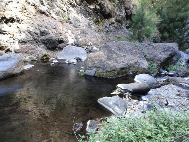 On quitte le bras à 10 mètres de ce bassin pour emprunter le sentier