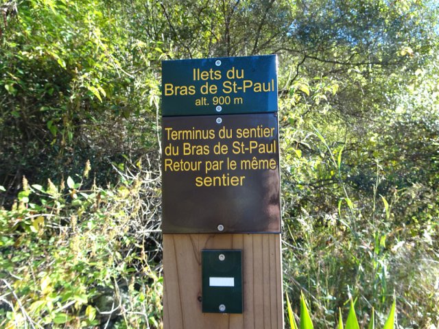 On peut, comme ici, poursuivre après les recommandations de l'ONF