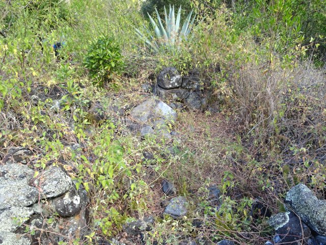 Des vestiges qui disparaîtront très vite dans la végétation