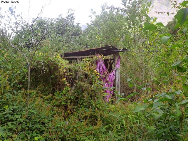 La cabane au fond du jardin subira le même sort