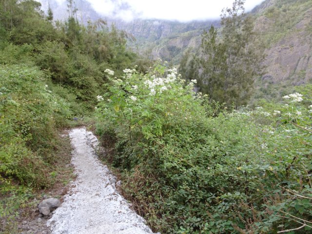 Le sentier, au début, a été bétonné