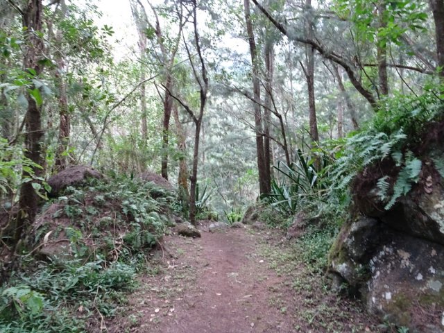 La fin de la descente est plus calme sous les filaos