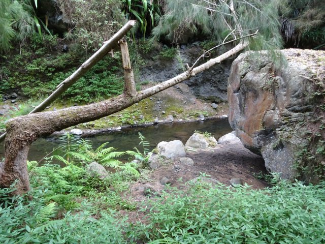 Le petit bassin à deux pas du gué sur le Bras de Saint-Paul