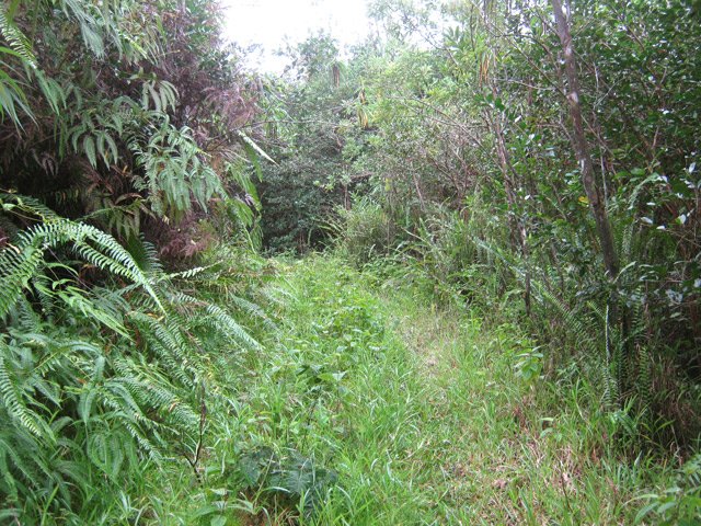 La même un peu plus loin