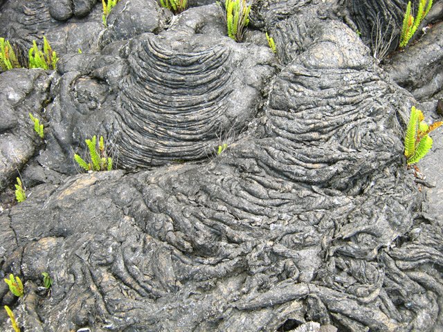 Il reste ça et là des beaux vestiges de lave non recouverte de végétation