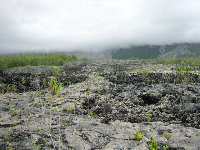 Belles coulées de lave et brouillard sur le Grand Brûlé