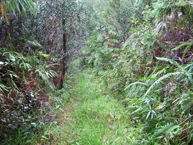 La piste dans sa portion grande randonnée