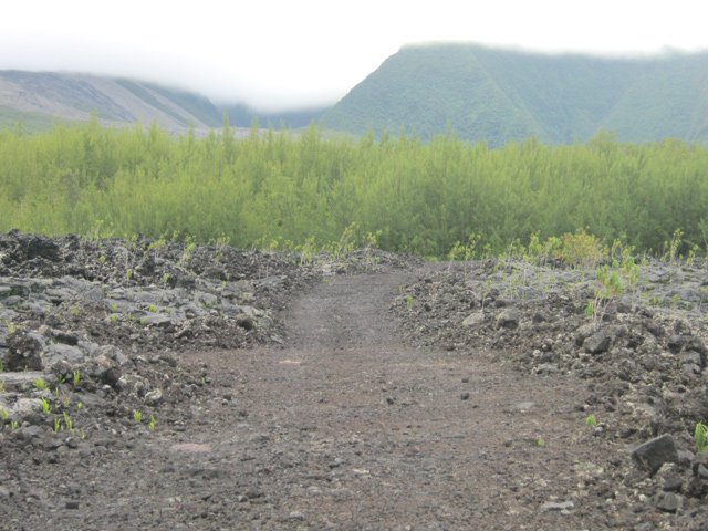 La piste est de moins en moins utilisée
