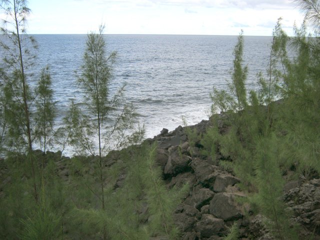 Les abords de la mer sont rocheux